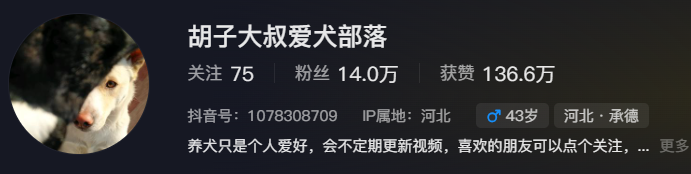 捕魚機：一只中国小土狗被千万老外封为国王