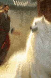 捕魚機：一只中国小土狗被千万老外封为国王