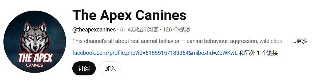 捕魚機：一只中国小土狗被千万老外封为国王