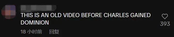 捕魚機：一只中国小土狗被千万老外封为国王