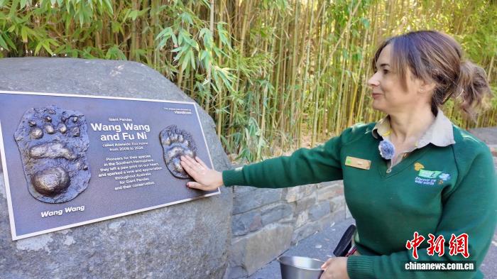 體育博彩：澳大利亚大熊猫饲养员：“星秋”和“怡兰”是我们的家人